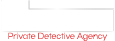 The Mentalist Logo
